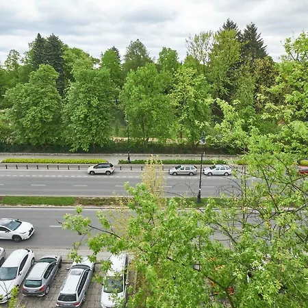Top Ten Plac Wilsona *